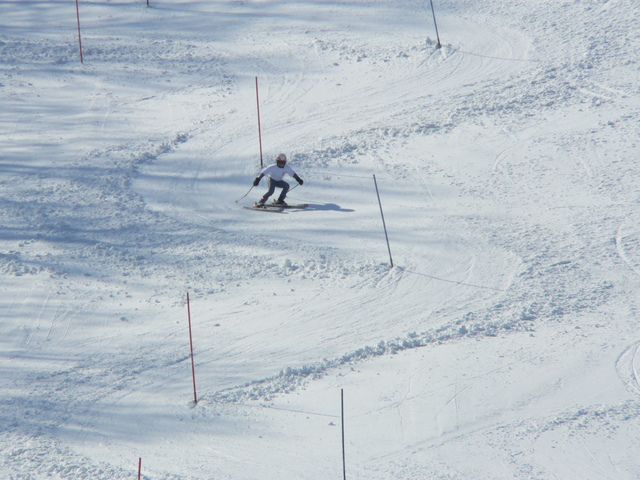 Skiing the Gates Youngster slalom skiing