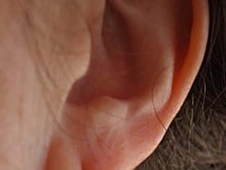 Sounds of the Season. Woman's ear with earring