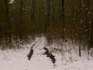 Woodhunting