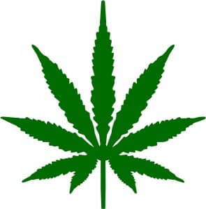 marijuana and snow