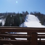 This is a BLUEBIRD Day