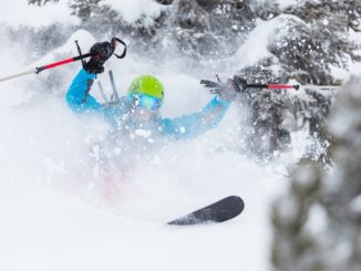 Powder Skiing how I pine for it -- Skier blowing up a stash of powder snow