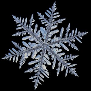 Avalanche -- a macro photo of a real snow crystal against a black background