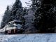 Training to Ski -- Am image of an Amtrak train with snow and pine trees