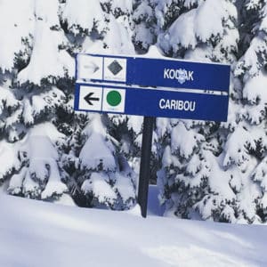 Ski Trail Signs -- Against snow covered pine trees