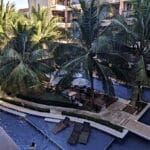 brilliant blue swimming pool and coconut palm trees